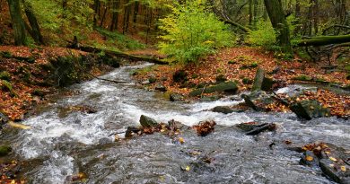 Oktober meist grau und nass Oktober meist grau und nass