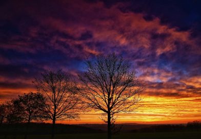 Dezember mild, sonnig und sehr trocken