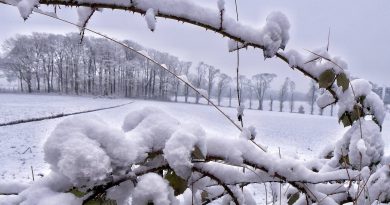 Januar winterlich, zum Teil viel Schnee Januar winterlich, zum Teil viel Schnee