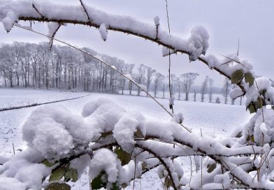Januar winterlich, zum Teil viel Schnee Januar winterlich, zum Teil viel Schnee