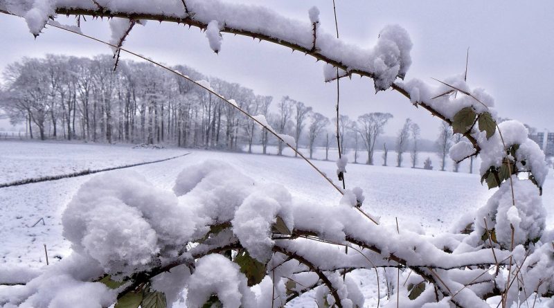 Januar winterlich, zum Teil viel Schnee Januar winterlich, zum Teil viel Schnee