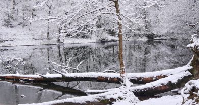 Milder Winter mit Schneeeinlagen Milder Winter mit Schneeeinlagen