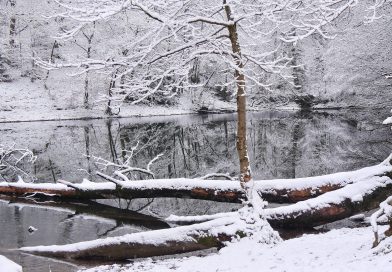 Milder Winter mit Schneeeinlagen Milder Winter mit Schneeeinlagen