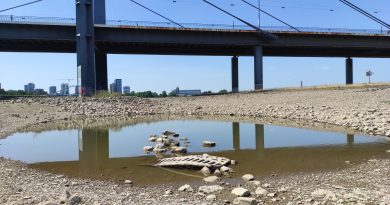 Juli 2026 – Hochsommer mit Folgen